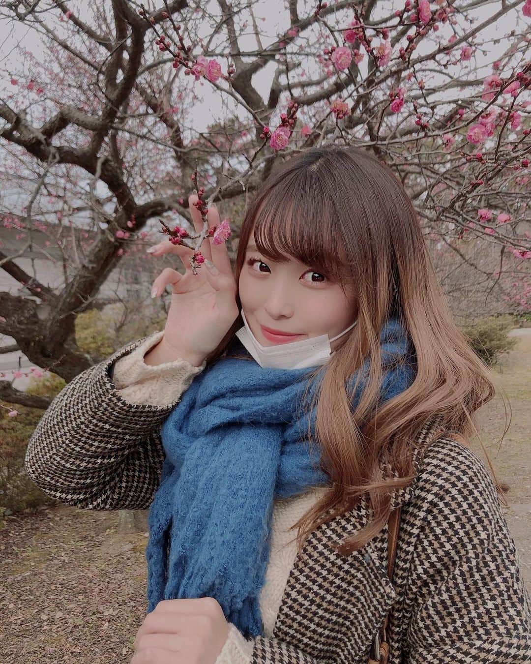 島崎由莉香のインスタグラム：「. . . 梅の花もう咲いてた☺︎ . 写真撮る時コートとマフラー取り忘れるせいでいつもこのセット。笑 忘れないようにちゃんとしよって思いました🥲 . . .」
