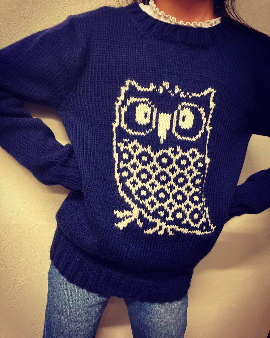 川江美奈子さんのインスタグラム写真 - (川江美奈子Instagram)「・ ハリーポッター愛がとまらない長女に こちらのセーターを編みました🪄 michiyoさんのデザインで以前このふくろうを見つけてから、勝手にヘドウィグのセーター！と呼ばせて頂いています。 編むあいだの深くしずむような無の感覚が好き。  #ふくろうのセーター #michiyoknit #harrypotter #hedwig」1月10日 21時18分 - minakokawae