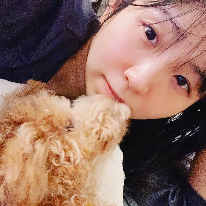 古川未鈴さんのインスタグラム写真 - (古川未鈴Instagram)「ぱむとのいちゃいちゃたいむ  #dog #チワプー #ぱむ」1月10日 21時40分 - furukawamirin