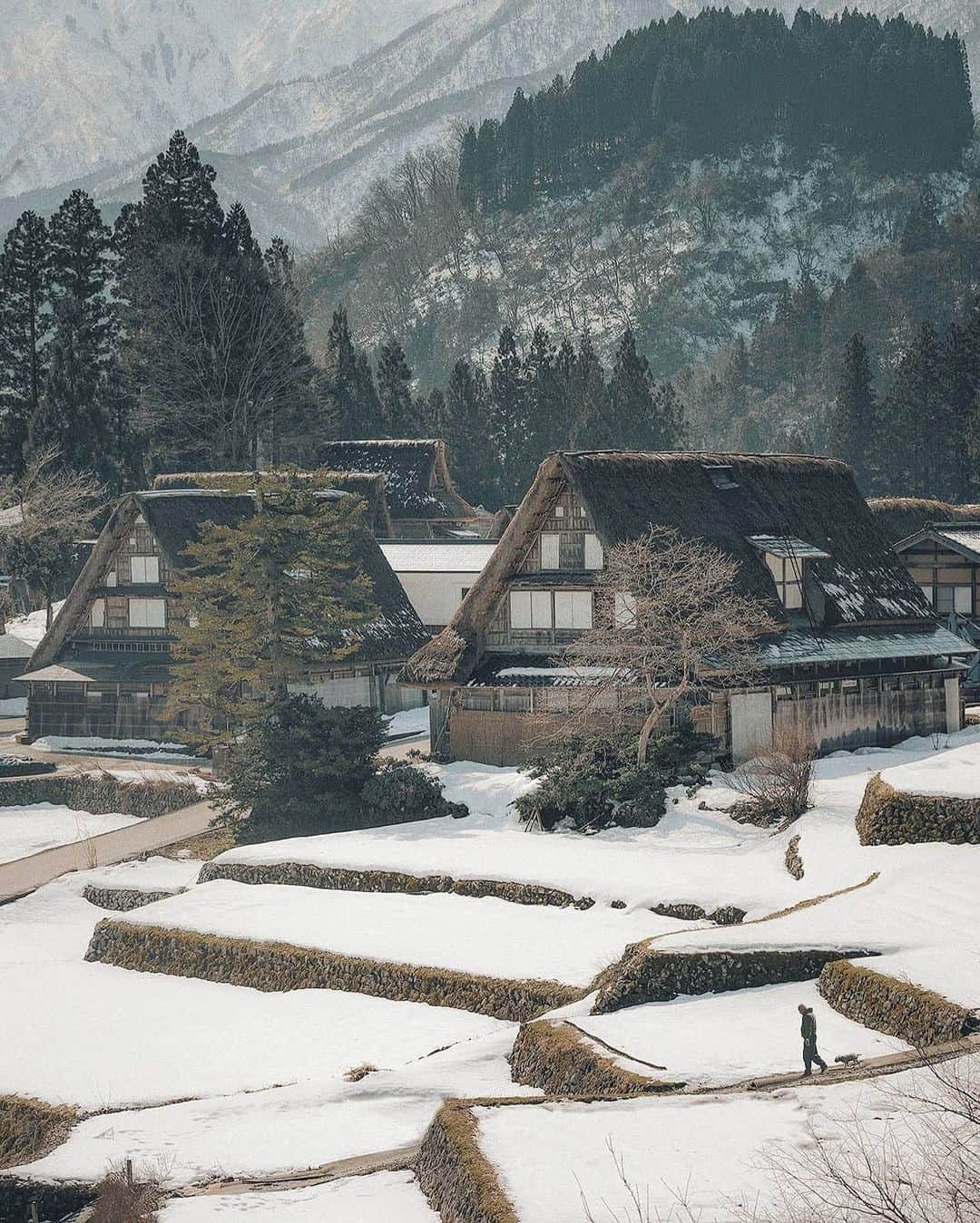 Berlin Tokyoさんのインスタグラム写真 - (Berlin TokyoInstagram)「Surrounded by steep mountains, this idyllic village with traditional thatched-roof houses offers a quaint sight of pre-modern Japan. . Gokayama's lifestyle and culture remained very traditional for many years after the majority of the country had modernized. Many of the houses surpass 300 years in age. . . . #hellofrom gokayama, #japan」1月10日 21時44分 - tokio_kid