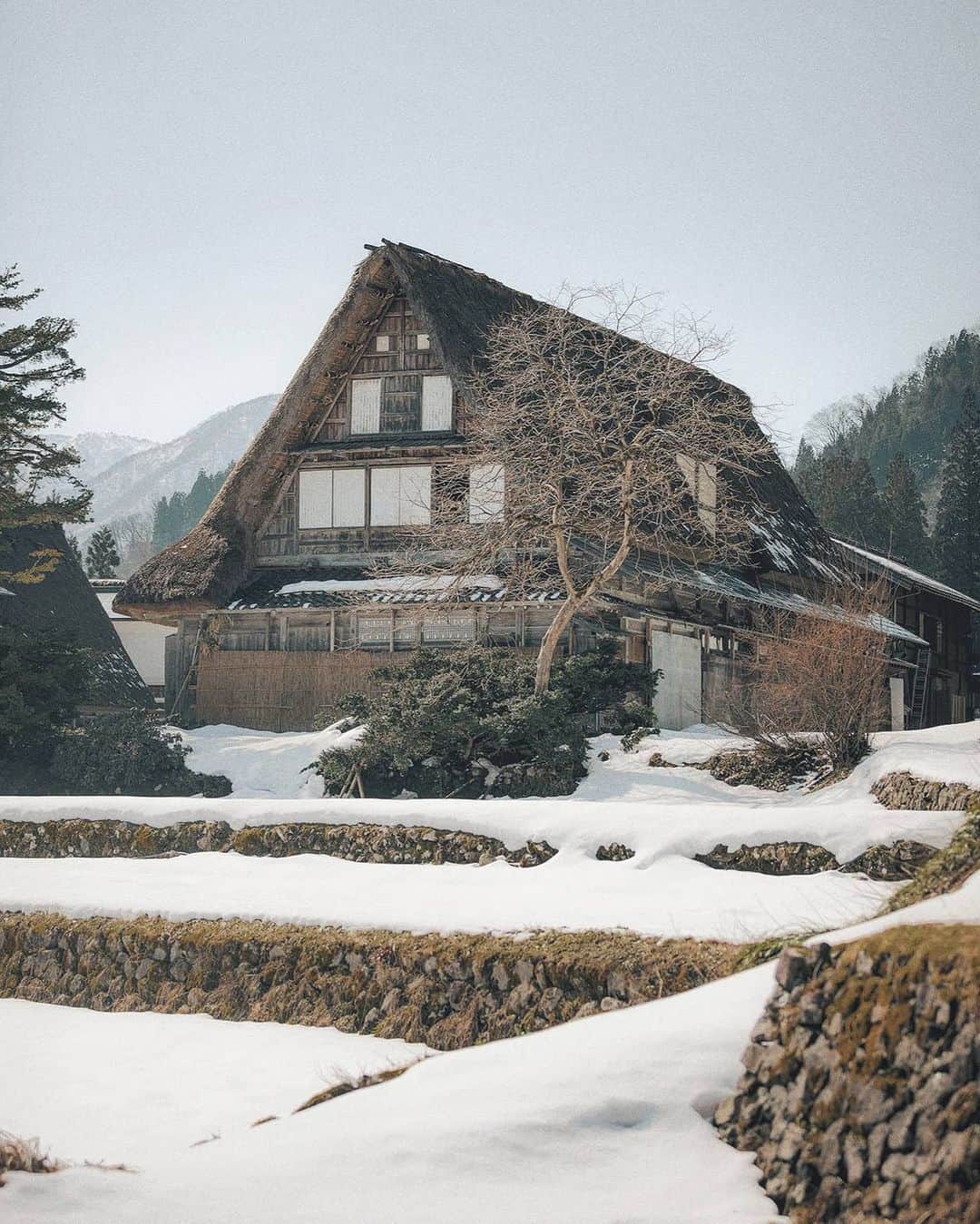Berlin Tokyoさんのインスタグラム写真 - (Berlin TokyoInstagram)「Surrounded by steep mountains, this idyllic village with traditional thatched-roof houses offers a quaint sight of pre-modern Japan. . Gokayama's lifestyle and culture remained very traditional for many years after the majority of the country had modernized. Many of the houses surpass 300 years in age. . . . #hellofrom gokayama, #japan」1月10日 21時44分 - tokio_kid