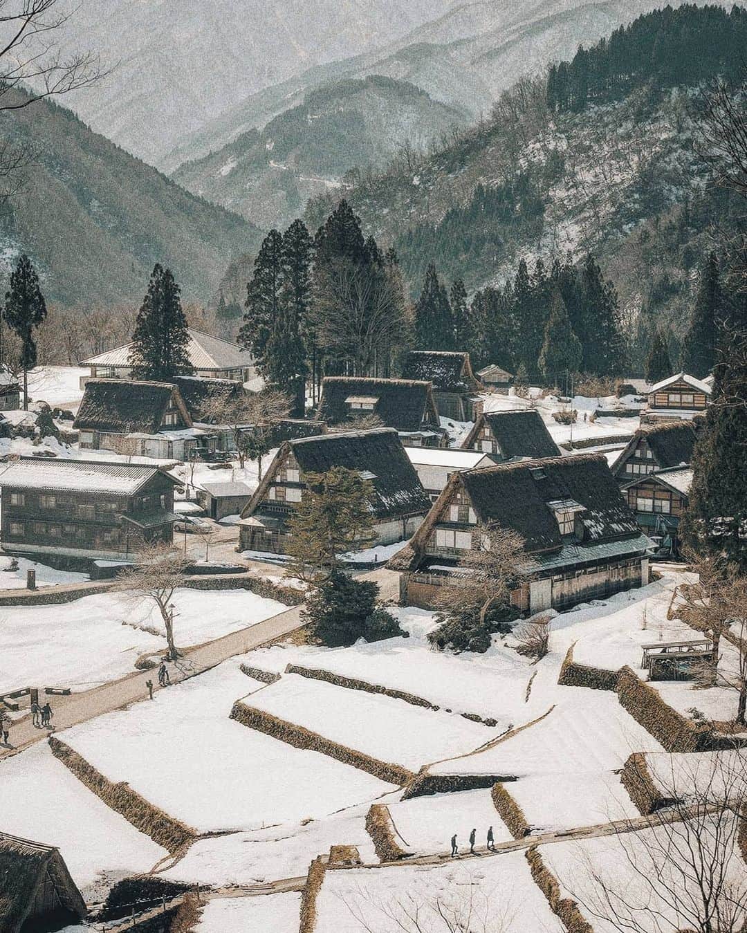 Berlin Tokyoのインスタグラム：「Surrounded by steep mountains, this idyllic village with traditional thatched-roof houses offers a quaint sight of pre-modern Japan. . Gokayama's lifestyle and culture remained very traditional for many years after the majority of the country had modernized. Many of the houses surpass 300 years in age. . . . #hellofrom gokayama, #japan」