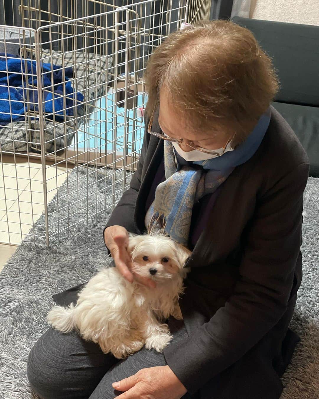 爲我井あゆみのインスタグラム：「祖母は88でも一人暮らしでした😊 私がめざましテレビの仕事が決まった9年前も祖母の家がなかったら出社できなかったし、私が料理の仕事をしてるのに、祖母のご飯が食べたいから、振る舞ったことなんかなく、お料理の先生なんだから作ってよなんて言われることも😊  2020年の年末のめざましの仕事も深夜2時に一緒に起きて、タクシーまで送るよって言ってくれたり、、、 感染予防のため自家用車で祖母の家に泊まりそのまま行ってたのですが、心配させるからそんなことも言えず、バレないように走り去ったのも最近なのにな。  れんこんのきんぴらは私がすぎたからよく用意してくれたし、一緒に晩酌してたら、お酒好きで困るわって言われたり😊  圧迫骨折をして入院となったのですが、私が泊まりにくるからと、最近していなかった布団敷きをしてくれて負荷がかかったと思われます。優しいな😊  コロナだから面会遮断で。 それが一番しんどいんですが 職場と自宅の間の病院に入院できたのが不幸中の幸い！  今日もいつも開店前から行列してるイチゴ屋さんのイチゴを(別に生粋のいちご好きでもないのになんとなく買ってみよう程度で)たまたま買うことができて、明日も会う予定だったのに、なんとなく様子が気になってイチゴを届けて、会いに来てくれてありがとうなんて言われて！それもまた、よかった。 あゆちゃんにお年玉あげたいからって、寝込んでるのにバックをあさって、お年玉を(何歳だよってツッコミはご勘弁)  先日アップした浴衣も祖母が選んでくれたし 思い出たくさん^ ^  早くコロナおさまって面会できますように！  ばあちゃん、がんばれ！  私なのですが、皆さんのご想像に反してナイーブすぎて、 5時間ほど涙を流し続けるという方法で浮腫を解消しております。 毎度のことですが、絶対知恵熱かなあ。。 (葬儀とかいくと発熱するタイプ)  いったんもめんに一瞬なれると思います。  明日も明後日も明明後日も病室にいたいですが。 とりあえず、早くころなおさまって！  備忘録です。すみません」