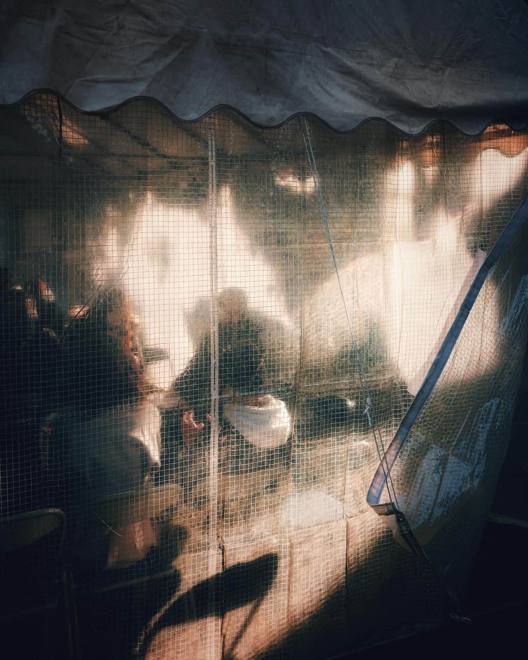 ima_ju / Jun Iのインスタグラム：「: : Waiting Time at Shrine : : ::」