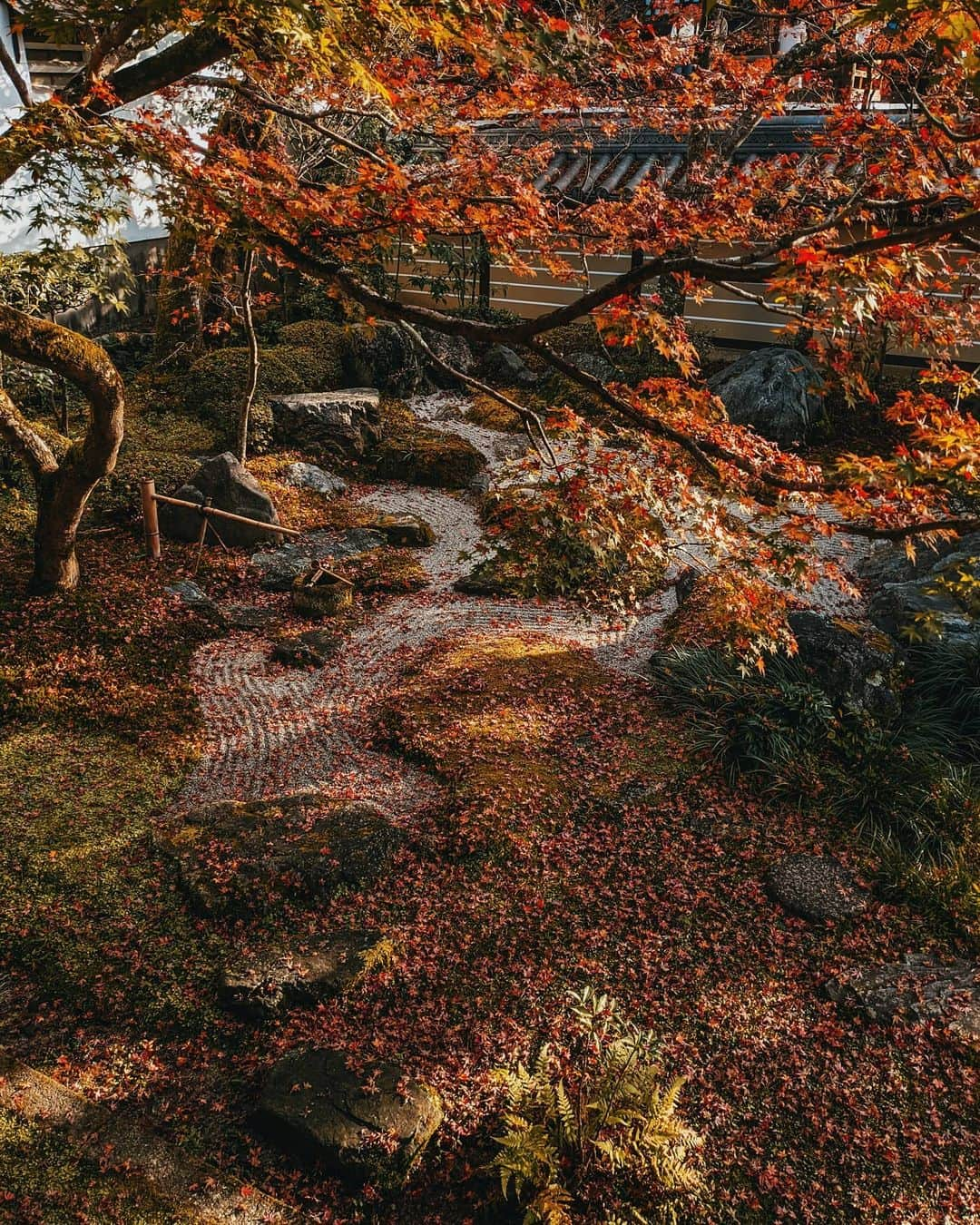 福田洋昭さんのインスタグラム写真 - (福田洋昭Instagram)「Needing some of this zen right  #tb #kyoto in #autumn #pixelで撮影 #googleのスマホ」1月10日 22時27分 - hirozzzz