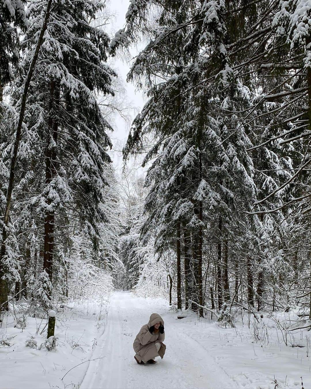 アンジェリーナ・ダニロヴァさんのインスタグラム写真 - (アンジェリーナ・ダニロヴァInstagram)「Listen to the forest. Crisp snow, birds singing, trees talking to each other. Winter wonderland in Russia. We walked for 4 hours, wondering around like kids, loving the nature and enjoying ourselves regardlessly.❄️」1月10日 22時38分 - angelinadanilova