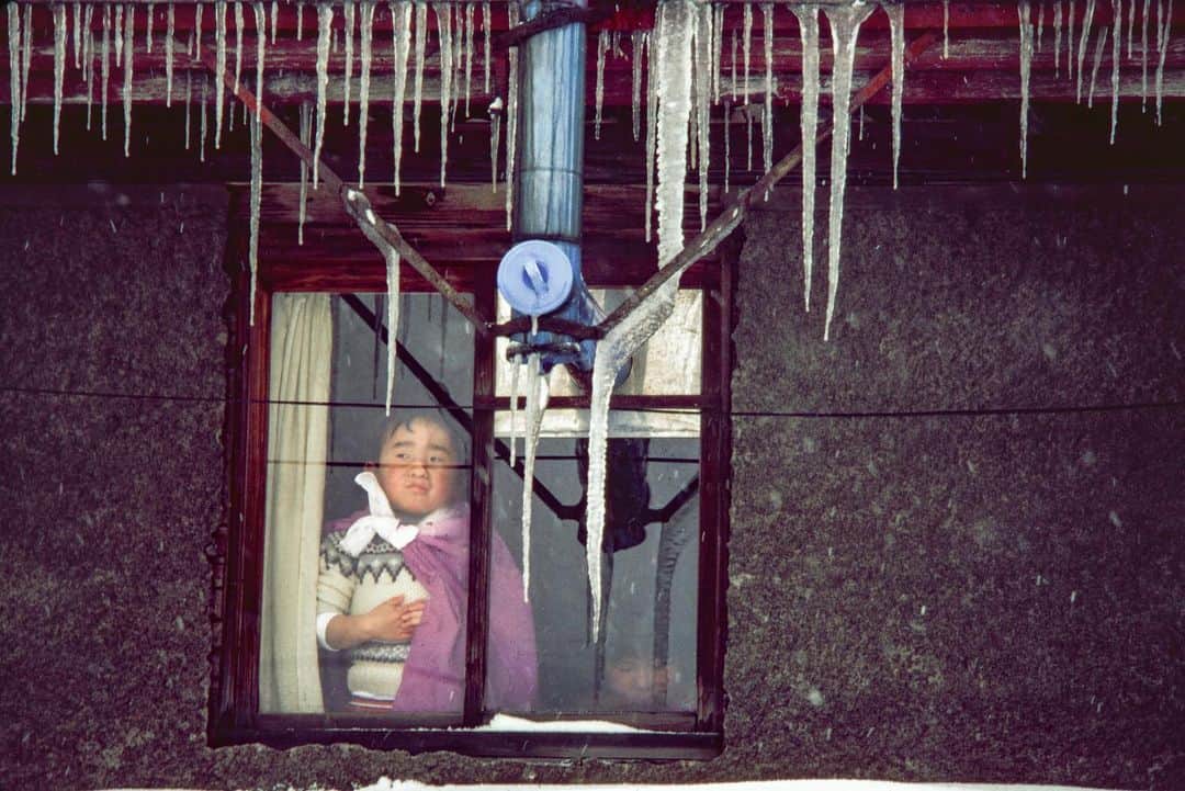 のインスタグラム：「Too cold to play outside today. #snowbound #snowcountry #hokkaido  #japantravel」