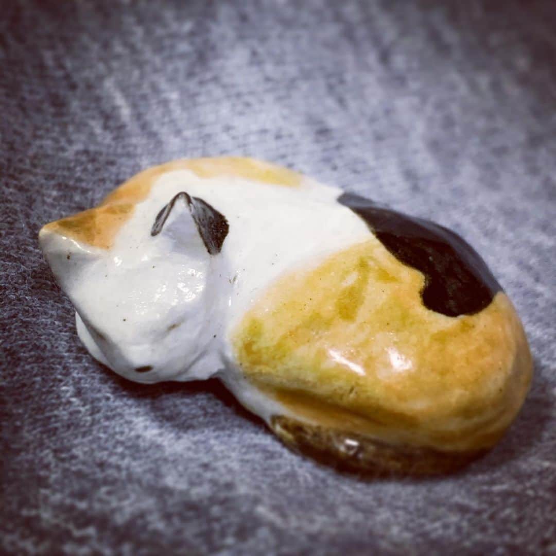 酒井雄二のインスタグラム：「ん？どした なんだ寝言か  #パクリグラム #なりゆき #命名 #さかいあんこ #三毛猫　#陶器」