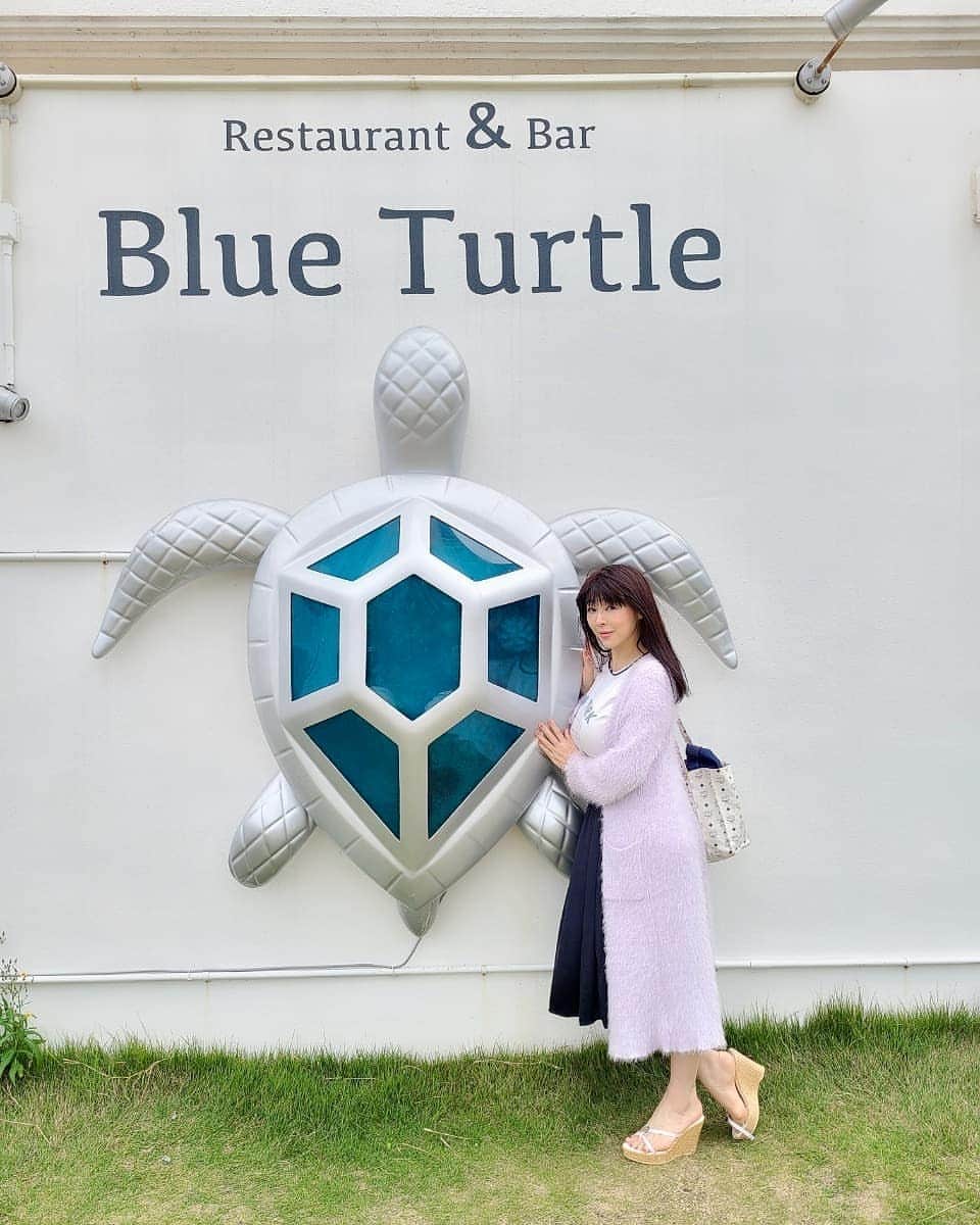 松坂南さんのインスタグラム写真 - (松坂南Instagram)「Blue Turtle💓  #blueturtle  #伊良部島」1月10日 23時10分 - minami_matsuzaka