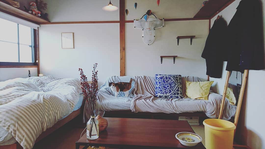 真造圭伍のインスタグラム：「今日は部屋掃除を頑張りました。」