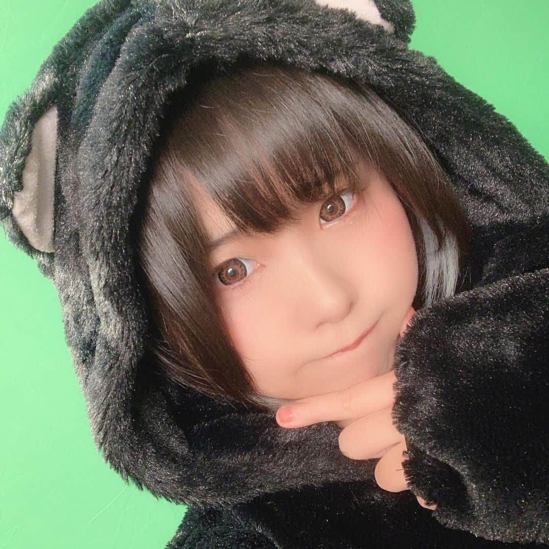 くろねこのインスタグラム