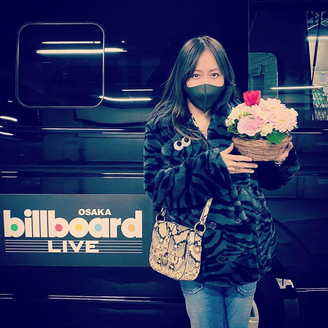 KOKIAのインスタグラム：「@billboardlive Osaka. #tokyo #japan #japon #kokia #photography #歌手 #コキア #insta #art #beautiful #picoftheday #follow #女性 #ソングライター #photooftheday #woman #jmusic #ボーカリスト #singer #songwriter #jpop #vocalist #voice #声 #ライブ #live #綺麗 #日本 #livestream」