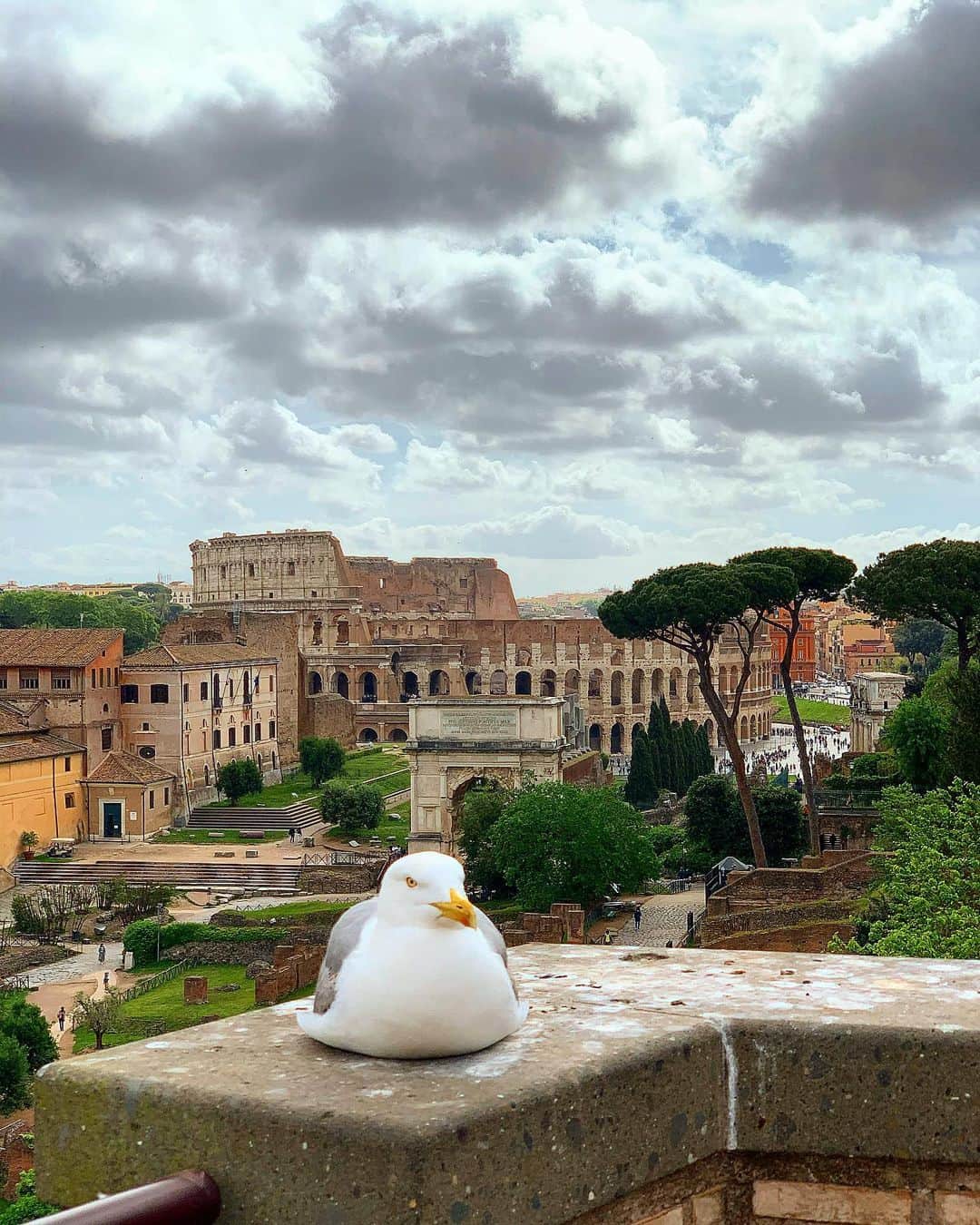 yuiさんのインスタグラム写真 - (yuiInstagram)「. . 🕊と、コロッセオと、フォロロマーノ🏰 . いきなり、古代遺跡、世界遺産✨ . #Colosseo#コロッセオ #フォロロマーノ  . #yuitrip✈️ #ゆい旅  #yuiinltaly」1月10日 23時48分 - yuiram