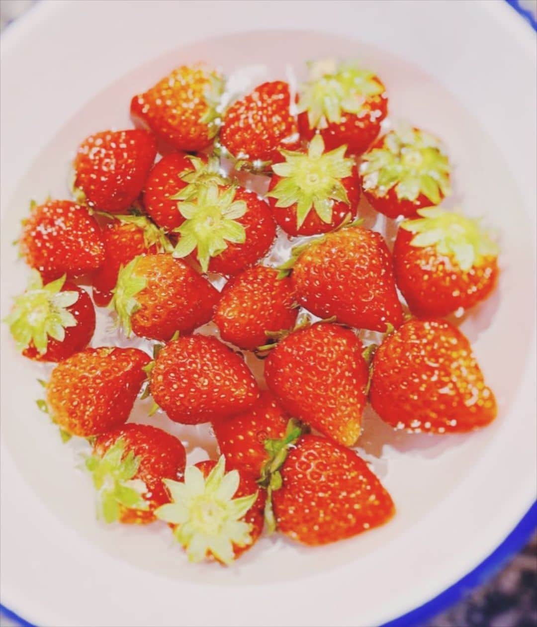 諏訪彩花のインスタグラム：「いちご🍓スーパーでみつけると、つい買ってしまう。 練乳につけて食べるのもすき。 ミルクとお砂糖の中に入れて潰して食べるのもすき。#苺」