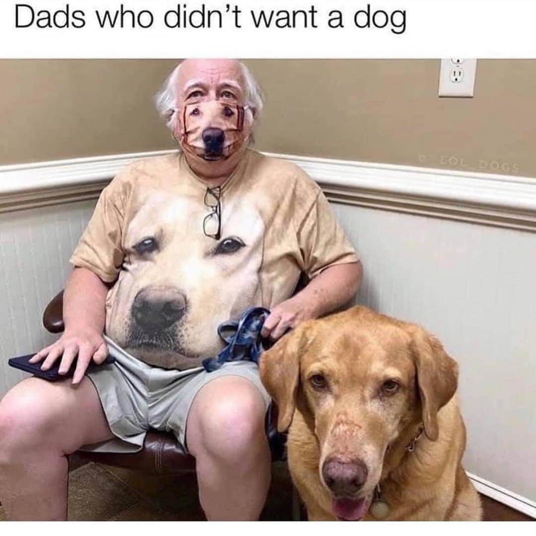 BarkBoxのインスタグラム：「WHOSE DAD IS THIS BECAUSE i would like to be adopted pls and thank u 🥺」