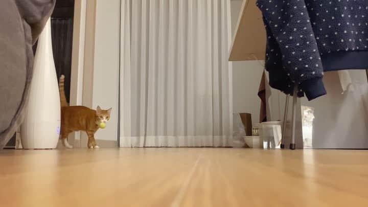 イ・エルのインスタグラム