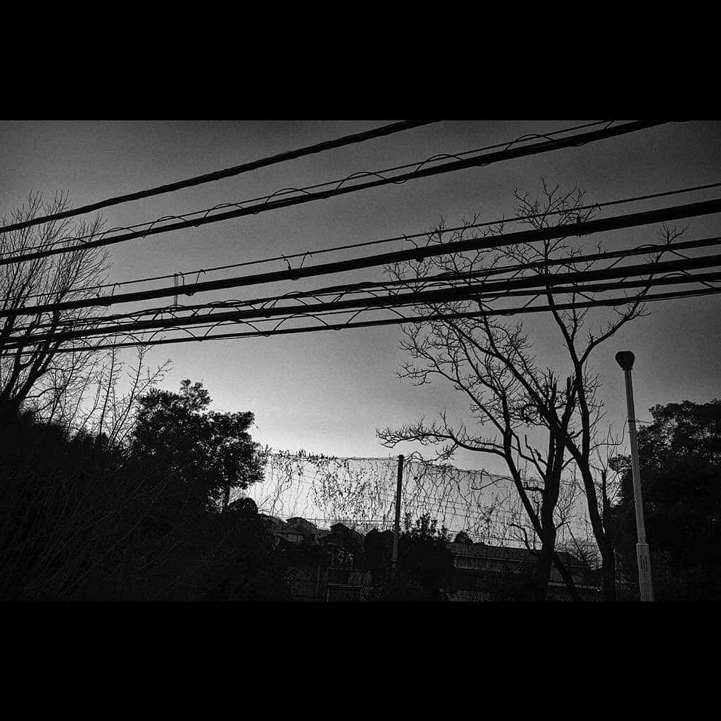 Tatsuo Suzukiさんのインスタグラム写真 - (Tatsuo SuzukiInstagram)「Neighborhood」1月11日 1時54分 - tatsuo_suzuki_001