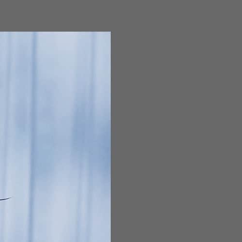 東方神起さんのインスタグラム写真 - (東方神起Instagram)「U-KNOW 유노윤호 The 2nd Mini Album [NOIR] ‘불면 (不眠; La Rosa)’ Film Poster  🎧 2021.01.18. 6PM KST  #U_KNOW #유노윤호 @yunho2154 #동방신기 #TVXQ! #東方神起 #NOIR #불면 #不眠 #LaRosa」1月11日 12時01分 - tvxq.official