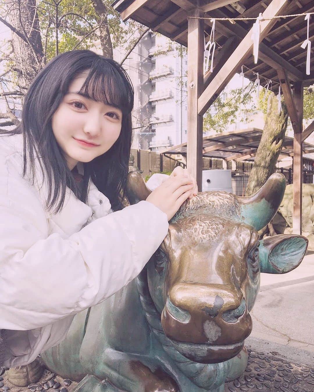 加藤咲希のインスタグラム：「初詣いてきた( ᐢ｡• ·̫ •｡ᐢ ) . 丑年だから牛と写真撮った🐄 . . おみくじ引いたんやけど確か小吉だった〜悲しや〜〜 皆どうだったー❔ . . . . #加藤咲希 #かとぅ #かとっこ🐱🌸」
