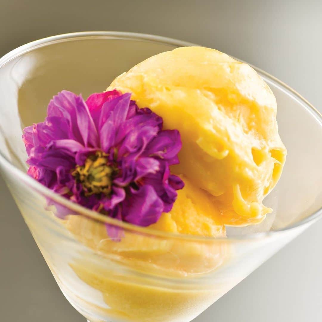 Yonanasのインスタグラム：「Yes, we LOVE bananas...but you don’t always need them to make a delicious Yonanas treat! This delicious Tropical Sorbet uses only Mango🥭 + Pineapple🍍 and is still one of our favorite go-to recipes. ⠀ ⠀ Click the link in our profile for the recipe.」