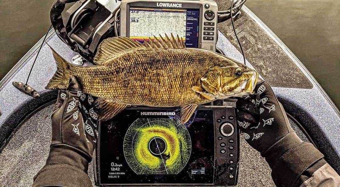 Filthy Anglers™のインスタグラム：「Electronics, do ya love em’, hate em’, or even use em’? Our friend Sean @603bass has them all dialed up on his boat. I’m curious, how many folks out there typically fish blind, no electronics? I’ve never used electronics, I basically go off experience instinct and gut.  Tempted this year to rig up something small on the aluminum and learn - what’s your go to brand? Congrats Sean @603bass , this photo has you Certified Filthy. www.filthyanglers.com #fishing #filthanglers #bassfishing #electronics #nature #angler #catchandrelease #bassfishing #fishing #outdoors #bigbass #icefishing #hummingbird #lowrancefishing #teamfilthy #smallmouth #smallmouthbass #fish #hunting #kayak #boats #603fishing」