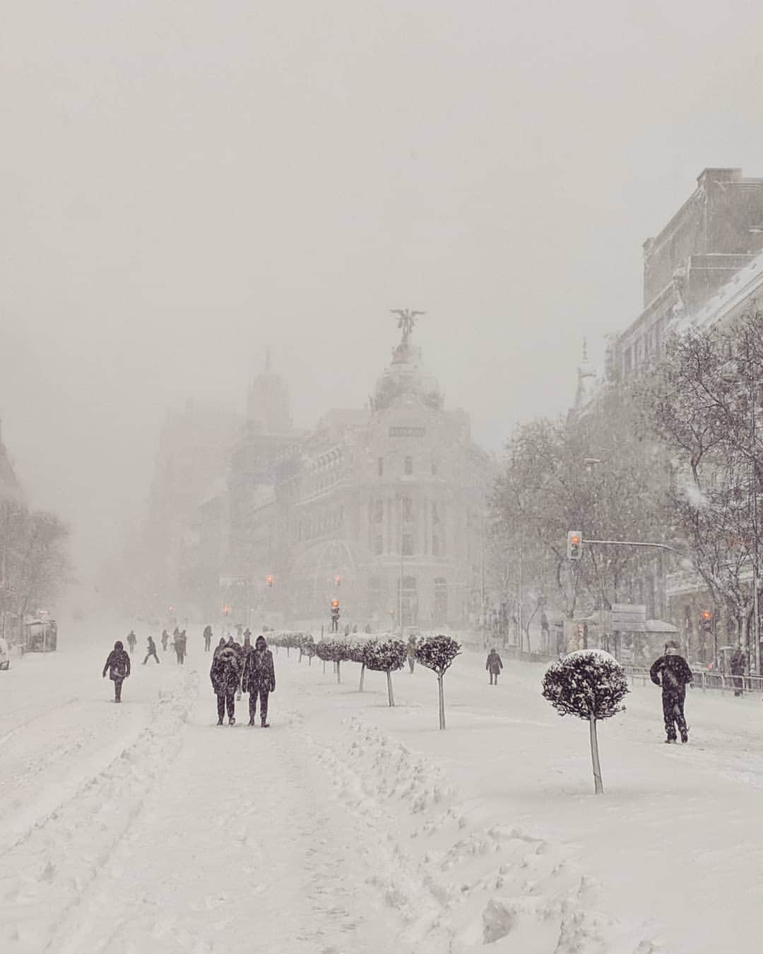 のインスタグラム：「El día que Madrid se convirtió en la capital del Invierno. 09/01/2021 ❄️ The day #Madrid became the capital of winter. 01/09/2021」