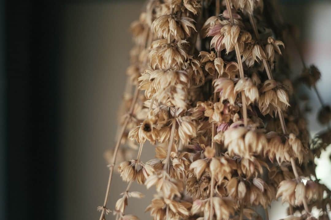 ヒラハルのグルメインスタ