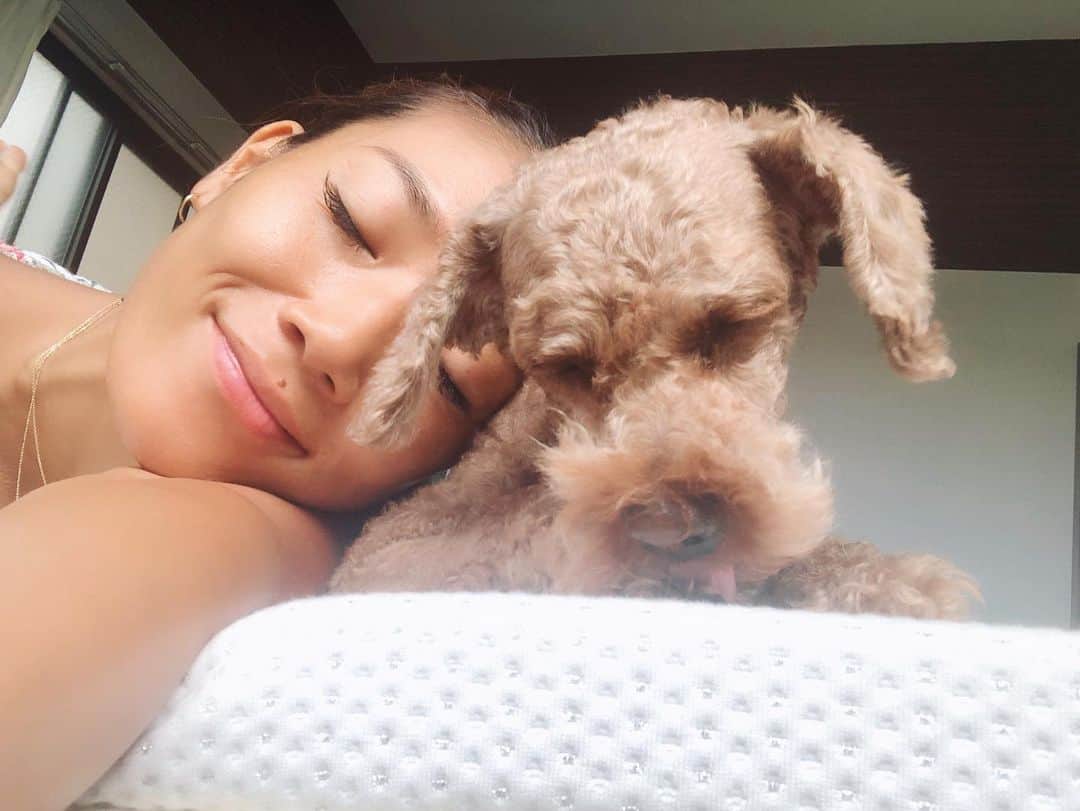 のインスタグラム：「可愛い可愛いうちの天使👼  こんなに可愛いうちの子は保護犬。 5年前にペットショップに見放された仔犬(当時3ヶ月)で、当時は人にもうつる感染症を持っていて本当に体の弱い子で、コロナの今よりも毎日毎日家中感染対策と殺菌消毒しまくり😅 結局私もうつったけど、かわいい我が子からうつされてもなんともないね❤️  骨も細くすぐに心労を患う とても臆病な子だったけど、みるみる回復して、 今では筋肉質でとても心の優しい強い男の子に成長してくれて、愛嬌良すぎて嫉妬するくらいみんなの人気者😂  こんなに可愛い子が、少しでも欠陥があると“商品“として売れないためペットショップでは、かたおちとして、見放されてしまいます。  ワンちゃんや猫ちゃん欲しいなと思うかたは、 “里犬“探しからはじめるといいかも♡  保護犬などで検索するとたくさんでてくるよ。  ちなみに宮古島にもあります。  無性の愛を与えてくれる大先輩✨  ヨガの練習の１つとして、"無性の愛を与えて続けなさい。"とあるの知ってた？  無性の愛といえば、インドで代表的なのが"マザーテレサ" 私はずっとマザーテレサのいるコルカタでシスターとして働きたかったの。  今は日本でヨガに出会いヨガの先生をしているのも近いものを感じます。  #保護犬#保護犬出身 #保護犬を家族に迎えるという選択肢 #里犬#プードル#天使#犬のいる暮らし #無性の愛 # ペットのいる生活 #愛犬との時間 #マザーテレサ#愛#ヨガ#将来の夢#シスター #ヨガインストラクター#女性経営者 #自由な暮らし」