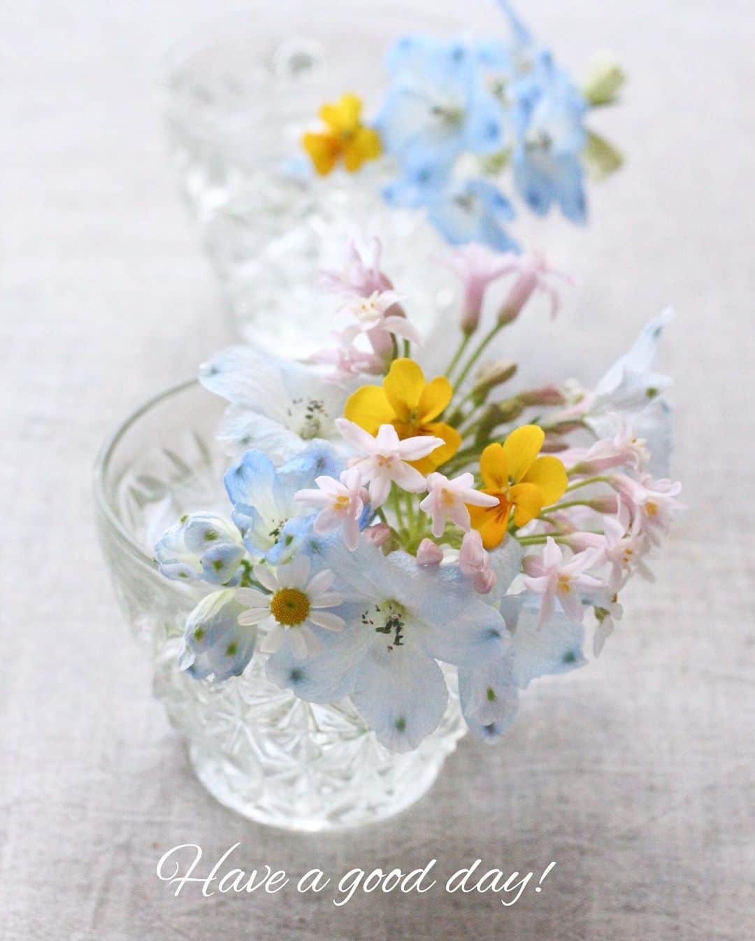 雑誌『花時間』さんのインスタグラム写真 - (雑誌『花時間』Instagram)「おはようございます。本日の投稿は「お花を育てて、飾ろう」の巻。  お花屋さんで買った﻿ 切り花と組み合わせて﻿ 好きなときにいつでも﻿ 花遊びできますよね！﻿ ﻿ たとえば、ビオラ。﻿ ﻿ 茎が短いから、﻿ 小さな器に。﻿  小さな花だけを集めると グラスの中に 花畑が広がります。 ﻿ ﻿ビオラやパンジーは﻿ お日さまが大好き。﻿ ﻿ 日当たりがよく、﻿ 風通しのよい場所で﻿ 管理すると﻿ つぎつぎとお花が咲きます。﻿ ﻿ だから、切っても もったいなくない、ない、ない！  育てて飾る。  結構、楽しいですよ。﻿ ﻿ では、今週も元気smile😊😊😊で頑張りましょう！ by ピーターパン﻿ ﻿ ﻿ #flowers #flowerslovers #flowerstagram #flowerarrangement  #花時間 #花時間2021  #花好き #花藝 #花好きな人と繋がりたい #花が好きな人と繋がりたい #花のある生活 #花のある暮らし #花を飾る #花を飾る生活  #デルフィニウム  #ツルバキア #ビオラ #マトリカリア #violaflowers #viola  #きれいな花 #かわいい花 #ビタミンf #小さな花  #おうち時間 #極小ビオラ #癒やしの時間  #春の色 #花が好き #花屋さんへ行こう」1月11日 8時18分 - hanajikan_magazine