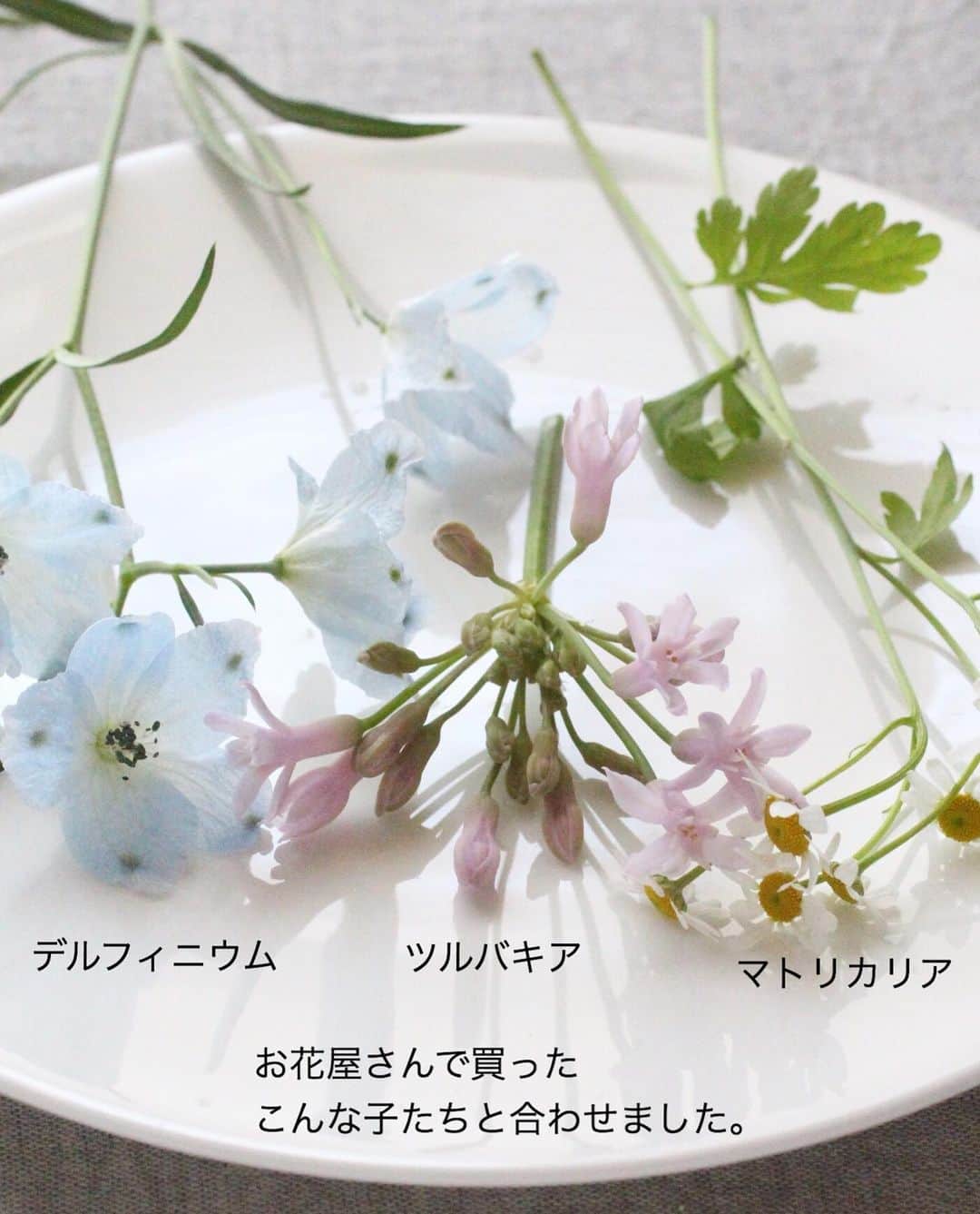 雑誌『花時間』さんのインスタグラム写真 - (雑誌『花時間』Instagram)「おはようございます。本日の投稿は「お花を育てて、飾ろう」の巻。  お花屋さんで買った﻿ 切り花と組み合わせて﻿ 好きなときにいつでも﻿ 花遊びできますよね！﻿ ﻿ たとえば、ビオラ。﻿ ﻿ 茎が短いから、﻿ 小さな器に。﻿  小さな花だけを集めると グラスの中に 花畑が広がります。 ﻿ ﻿ビオラやパンジーは﻿ お日さまが大好き。﻿ ﻿ 日当たりがよく、﻿ 風通しのよい場所で﻿ 管理すると﻿ つぎつぎとお花が咲きます。﻿ ﻿ だから、切っても もったいなくない、ない、ない！  育てて飾る。  結構、楽しいですよ。﻿ ﻿ では、今週も元気smile😊😊😊で頑張りましょう！ by ピーターパン﻿ ﻿ ﻿ #flowers #flowerslovers #flowerstagram #flowerarrangement  #花時間 #花時間2021  #花好き #花藝 #花好きな人と繋がりたい #花が好きな人と繋がりたい #花のある生活 #花のある暮らし #花を飾る #花を飾る生活  #デルフィニウム  #ツルバキア #ビオラ #マトリカリア #violaflowers #viola  #きれいな花 #かわいい花 #ビタミンf #小さな花  #おうち時間 #極小ビオラ #癒やしの時間  #春の色 #花が好き #花屋さんへ行こう」1月11日 8時18分 - hanajikan_magazine