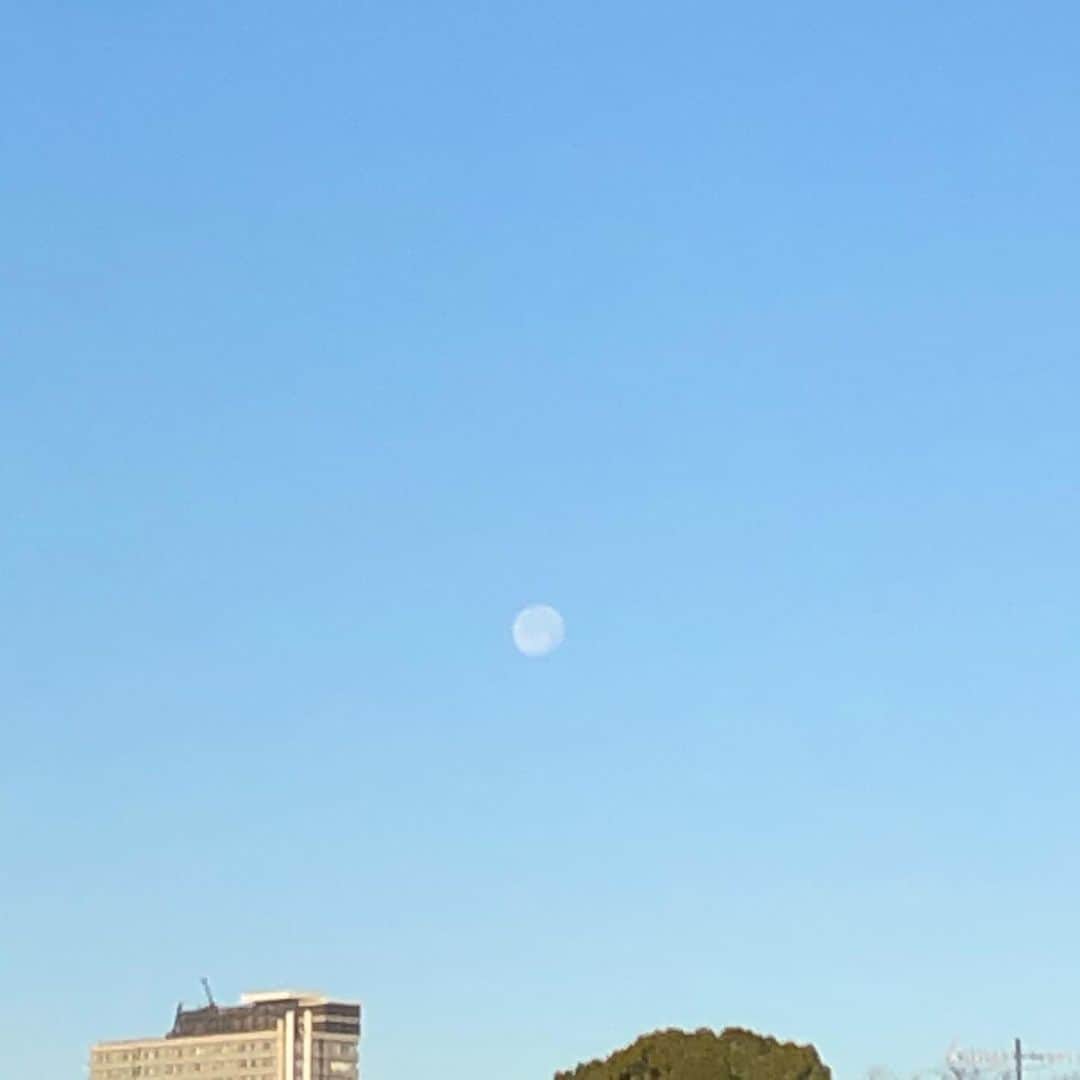 河内孝博のインスタグラム：「1月1日の朝に拝んだ月。」