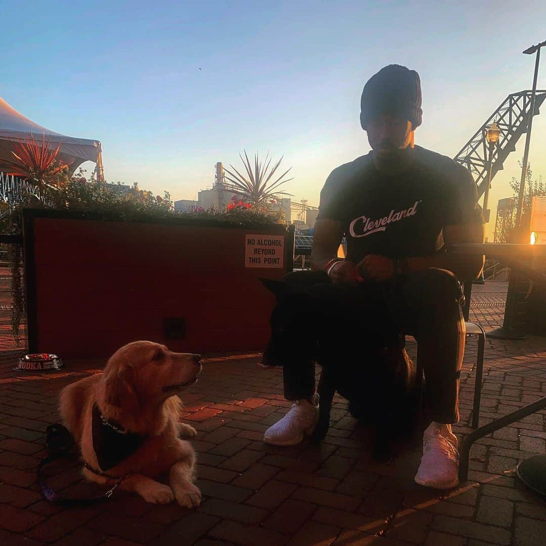 モヒートさんのインスタグラム写真 - (モヒートInstagram)「Game faces on and ready for tonight!! Go @clevelandbrowns 🧡🤎🏈 #nflplayoffs #nfl #cleveland #clevelandbrowns #thisiscle #theland #believeland #dogsofcle #dogsofcleveland #goldens #goldenretriever #goldenretrieversofinstagram #dogsofinstagram #dogmom #ohio #cutedogs」1月11日 8時32分 - mojito_rose_family