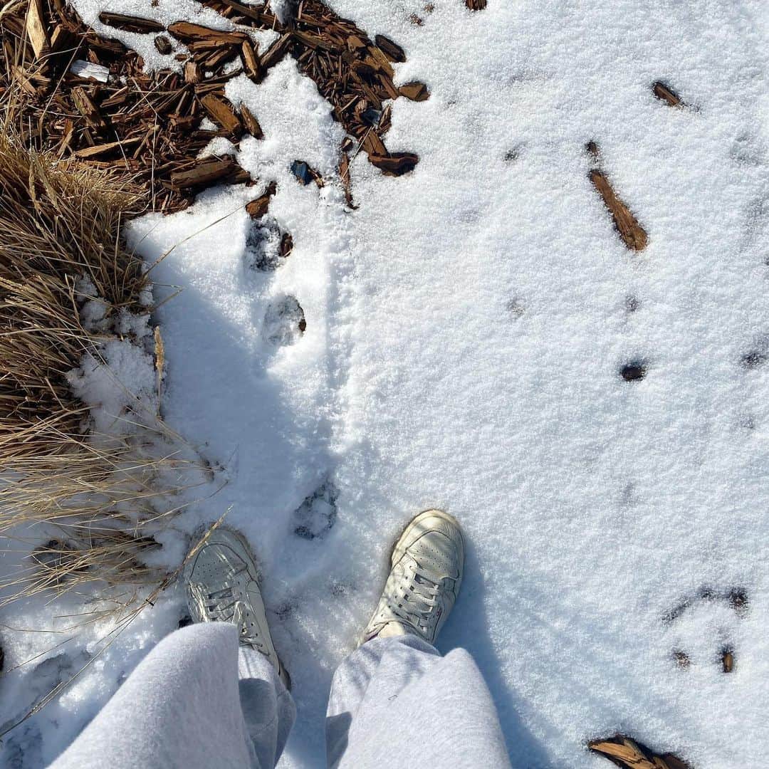 エビアン・クーのインスタグラム：「Hiiiiii ❄️⛄️」