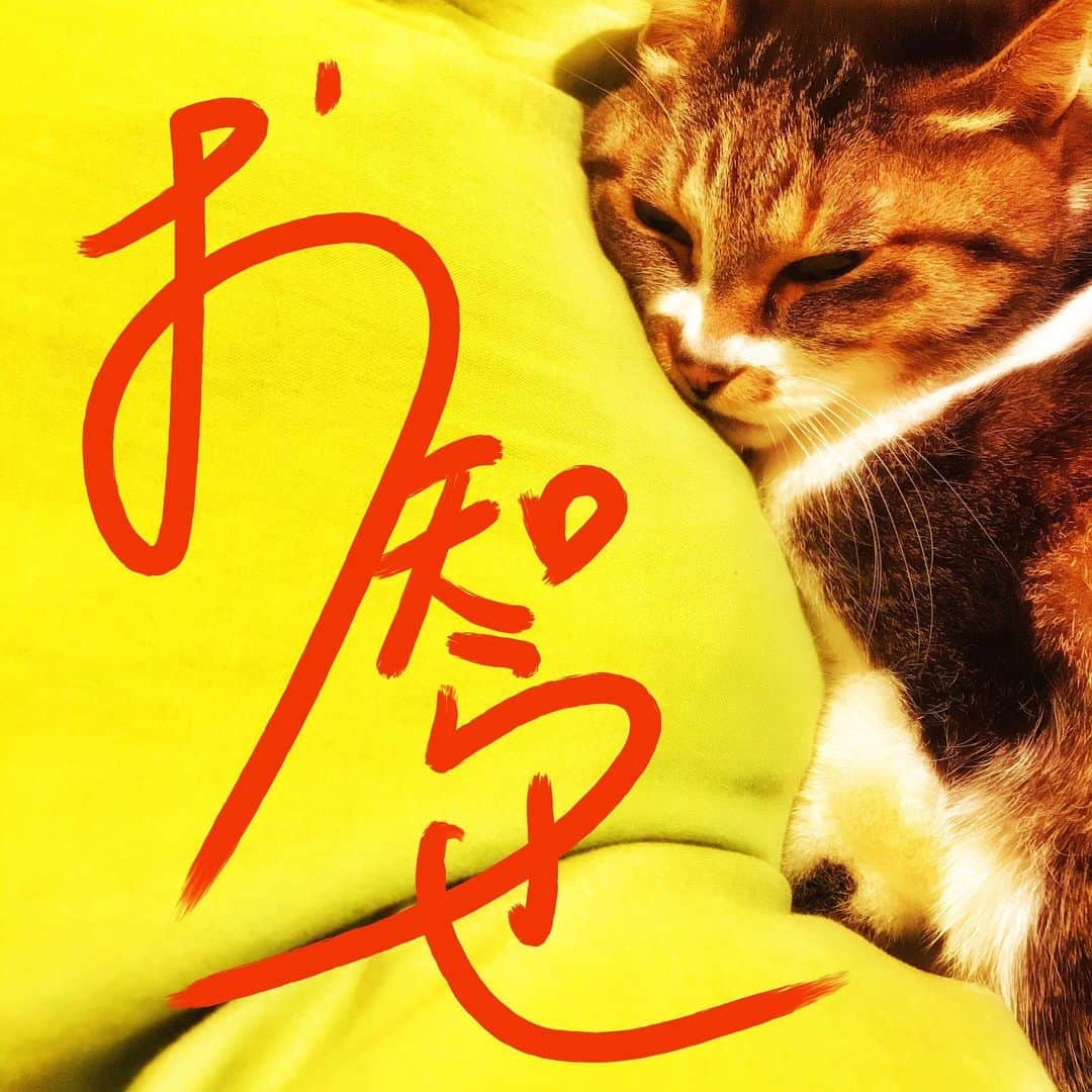 イマイアキノブのインスタグラム：「🥀K.J.S 発令以降に変更となったライヴの開場 開演時間です  ✴︎1.16(土) @ BAR高田馬場ニコラシカ  『男子縦列女子横列』vol.23  出演 イマイアキノブ  青木マリ   開場 16:00 開演 16:30 ————————————————— ✴︎1.17(日) @ 新宿レッドクロス  『三者会談』  出演 イマイアキノブ 松崎ナオ せんいちろうBig Dick Drive(突然少年）  開場 16:30  開演 17:00 ————————————————— ✴︎1.23(土) @/fr 下北沢CLUB Que  『Good Dreams』観覧&配信  出演  下山淳 イマイアキノブトリオ  (イマイアキノブ 山本久土 サトウミノル)  開場 16:45 開演 17:30 ————————————————— ✴︎1.30 (土)  @ KAVACH⚡︎YA 新宿  『君と逢う新宿』vol.25 イマイアキノブ ワンマンライブ  開場 17:30 開演 18:00  #イマイアキノブ  #imaiakinobu」