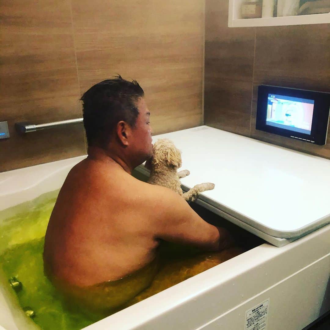 のインスタグラム：「孫と入浴 アロン トイプードルの姿をした孫」