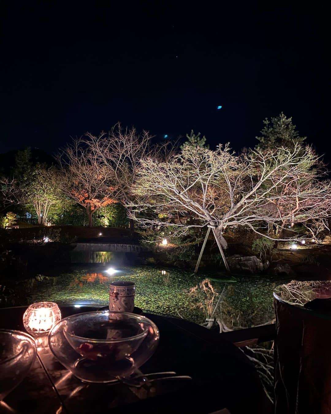 神田藍香さんのインスタグラム写真 - (神田藍香Instagram)「夜ご飯をゆっくり食べた後は﻿ ライトアップされた庭園を見ながら﻿ のんびりタイム💕﻿ ﻿ 机がコタツになってるから全然寒くないよ💫﻿ ﻿ とても幻想的で素敵な場所でした🌃﻿ ﻿ ﻿ ﻿ ﻿ ﻿ .」1月11日 10時11分 - kaatan0522