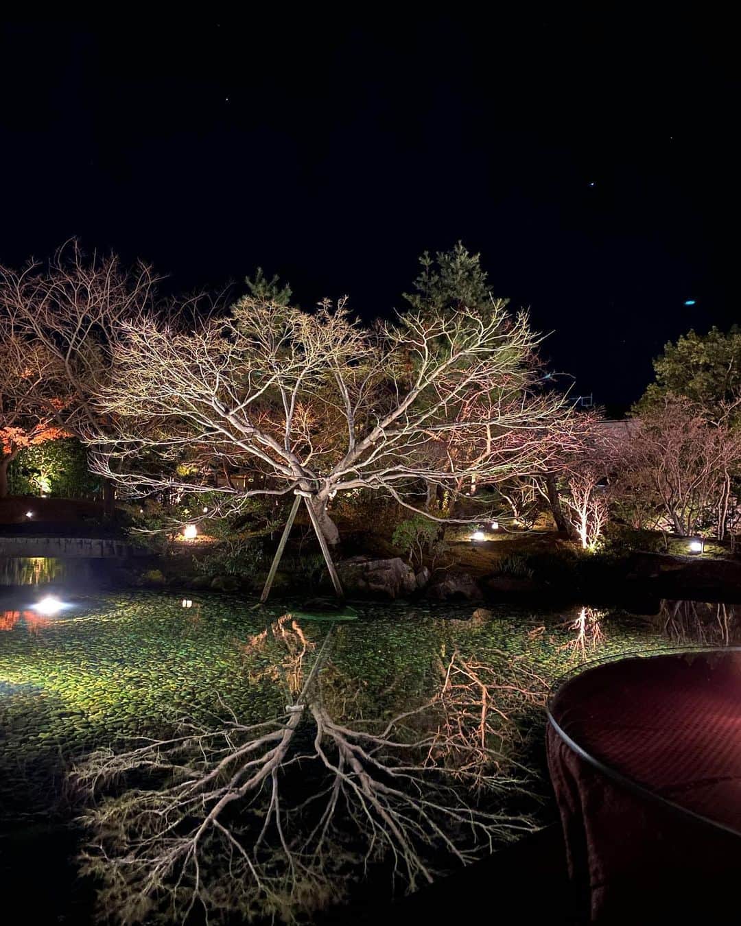 神田藍香のインスタグラム：「夜ご飯をゆっくり食べた後は﻿ ライトアップされた庭園を見ながら﻿ のんびりタイム💕﻿ ﻿ 机がコタツになってるから全然寒くないよ💫﻿ ﻿ とても幻想的で素敵な場所でした🌃﻿ ﻿ ﻿ ﻿ ﻿ ﻿ .」