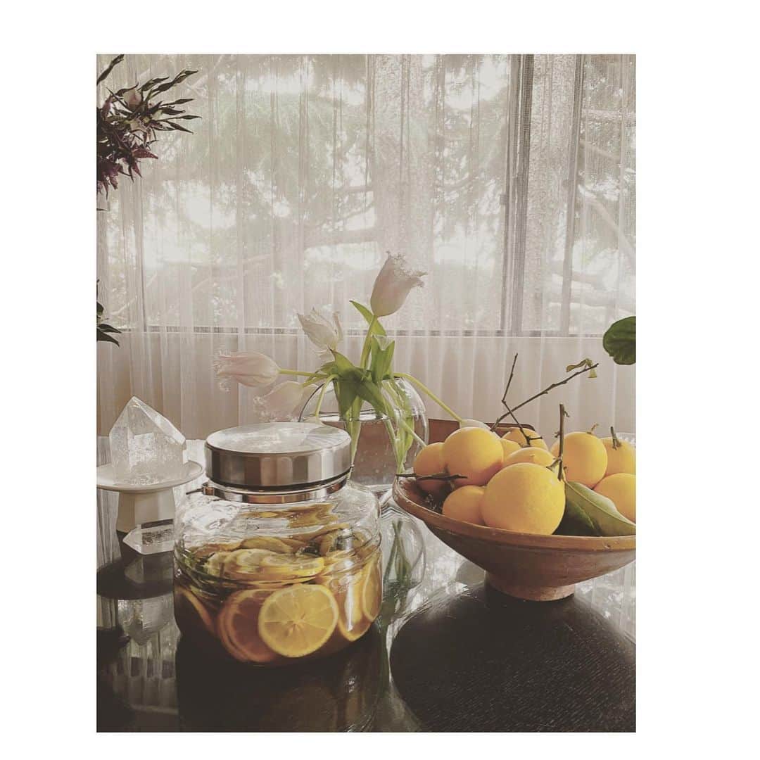HiRAO INCのインスタグラム：「. 自宅のテラスで採れたレモン🍋 蜂蜜とローズマリー漬けに」