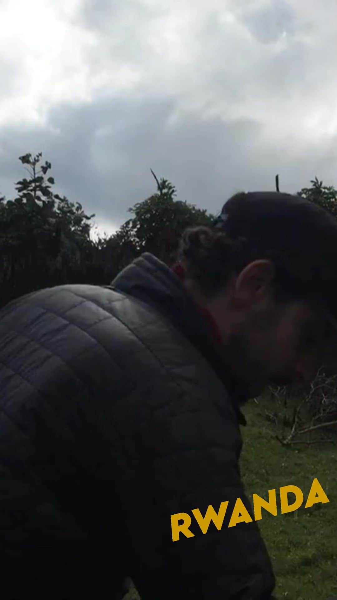 アダム・シャピロのインスタグラム：「Gorilla trekking with @ktqlowes in beautiful #Rwanda. Just really wanna use reels but have nothing to reel being stuck in my house so I’m gonna make reels out of travels. Travel reels.」