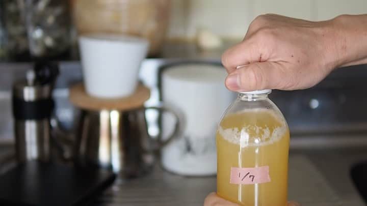Rocoのインスタグラム：「01.11 #パラダイス酵母　が元気すぎる」