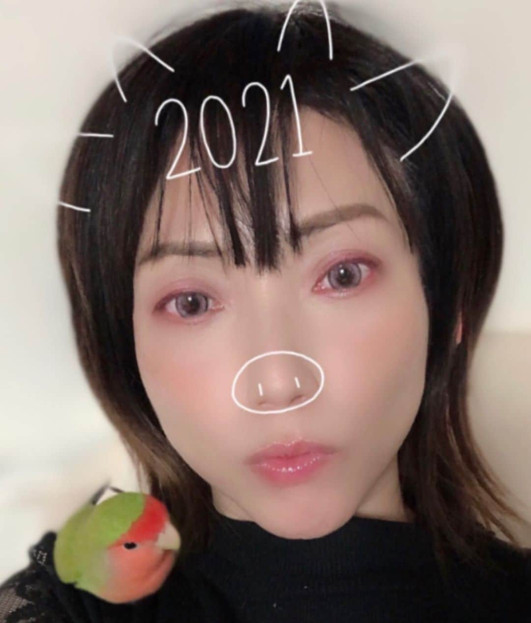 甘乃つばき（吉瀬菜々子）さんのインスタグラム写真 - (甘乃つばき（吉瀬菜々子）Instagram)「ラブラブ中🥰 ・ ・ #癒し #ラブバード #lovebird #小桜インコ #手乗りインコ」1月11日 20時46分 - natsume_sachiko