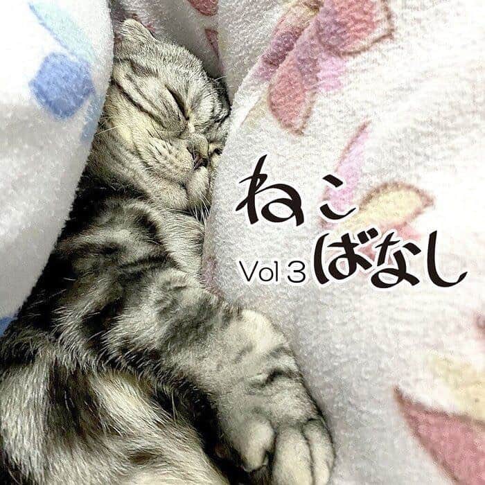 Shishi-maruのインスタグラム：「🐱ねこのきもちWEBMAGAZINE更新されました。「ねこばなしvol3」です。 「メンダコ」「真剣白刃取り」のお話です。  渋ネコししまるさん】#81 ｜ねこのきもちWEB MAGAZINE  https://cat.benesse.ne.jp/lovecat/content/?id=89440  🐱My essay about Shishi-maru is serialized in a weekly magazine.  ーーーーーーーーーーーーー 🌺「渋ネコ ししまるさん」ねこのきもちWEB MAGAZINE にて毎週金曜日エッセイの連載中 ーーーーーーーーーーー 📕「ぷっちねこ。」「3匹のちいさな猫を召喚できたなら」「ちいさな猫を召喚できたなら」徳間書店より単行本発売中 ーーーーーーーーーーー ⭐︎ねこ漫画→@tacos_cat 🌺Twitter →@taco_emonemon ーーーーーーーーーーー」