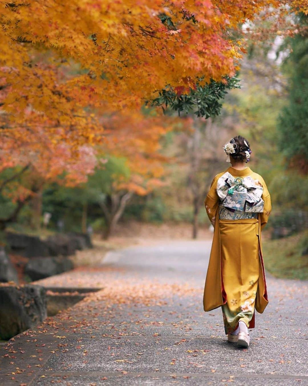 箕迫かなさんのインスタグラム写真 - (箕迫かなInstagram)「👘👘👘 . . 成人しました（早生まれでまだ19才） 成長はしたかも（他人の意見を聞きたい） こんなに大きくしてくれたお父さんお母さん周りの皆様にありがとうの日  ちっちゃい頃大きかった ジャングルジムが 小さくなった気がします （どこかで見たこの言葉ずっと使いたかった） 20才って大人だと思っていたあの頃 20才の代になった今思うと 私めちゃくちゃ餓鬼で心配だ 成人って言える自信がないから 未成人って言おうかな？ って考えてる自分がいる（？）  ひっさしぶりの同級生や 同級生のおとんおかんに会えて 少し大人になった自分と皆んなに 嬉し寂しい気持ちに☺️ もっと大人になっても 会える機会があったら良いなあ（それが同窓会）  素敵な大人になれるよーに！！ スポンジの如く 色んな事を吸収して教えてもらって日々感謝！をモットーに！頑張ります！ これからも宜しくお願い致します🌼 . . #成人式  #新成人 #ってちょっと照れる #大人の皆様 #大人の世界おじゃましまーす✌🏾 #よっしーさんに撮っていただいたお写真 #高校生の時からお世話になっている #ありがとうございます」1月11日 21時06分 - niconico213