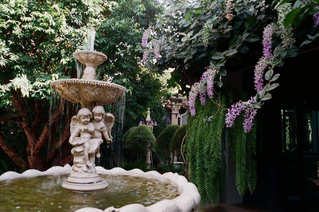 Araya Alberta Hargateのインスタグラム：「My best investment so far. 🏡⛲」