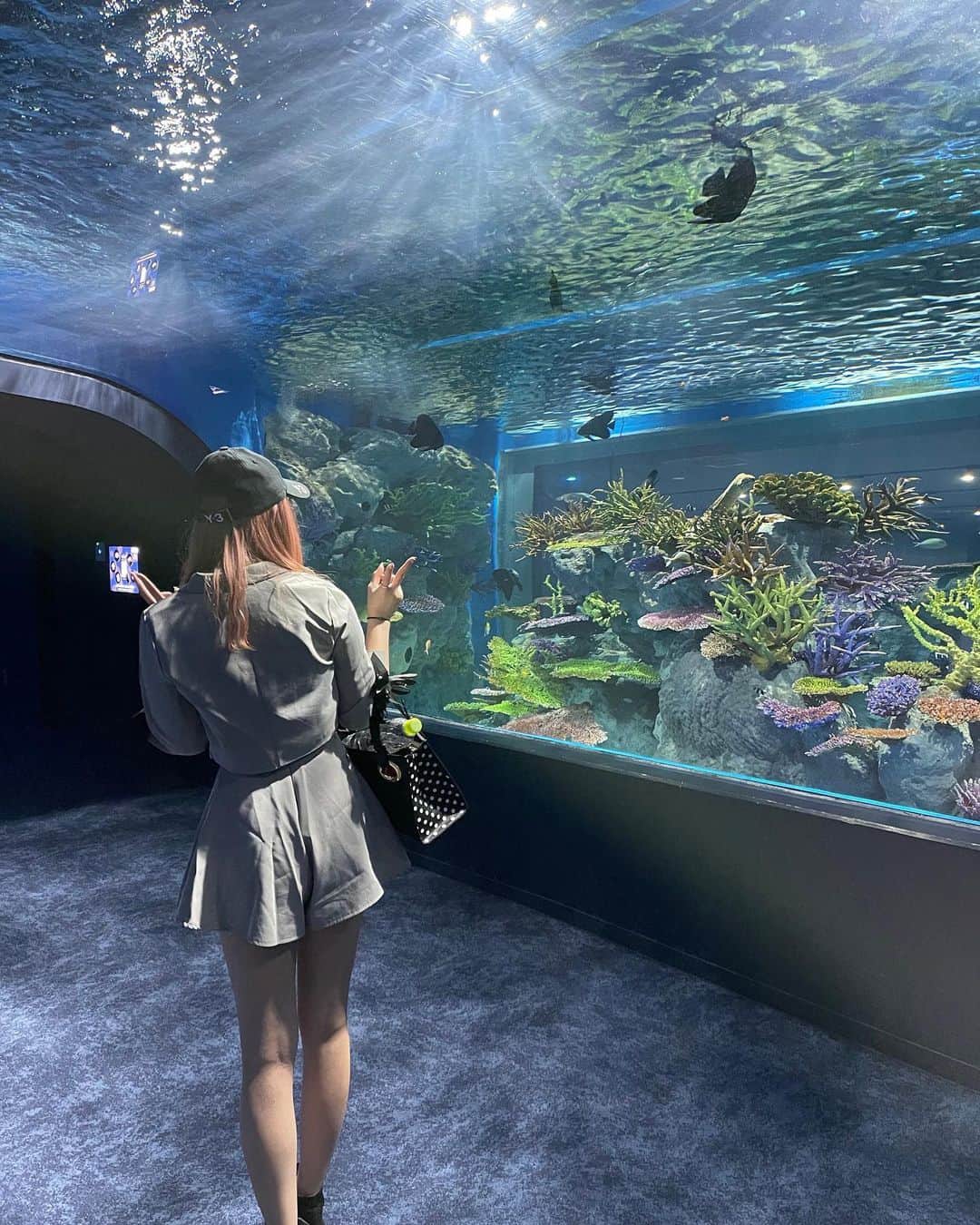 兼次桜菜のインスタグラム：「少し前に水族館いきました🐟でもずっと鳥肌立った…﻿ ﻿ ﻿ ﻿ #水族館 #かりゆし水族館 #魚」