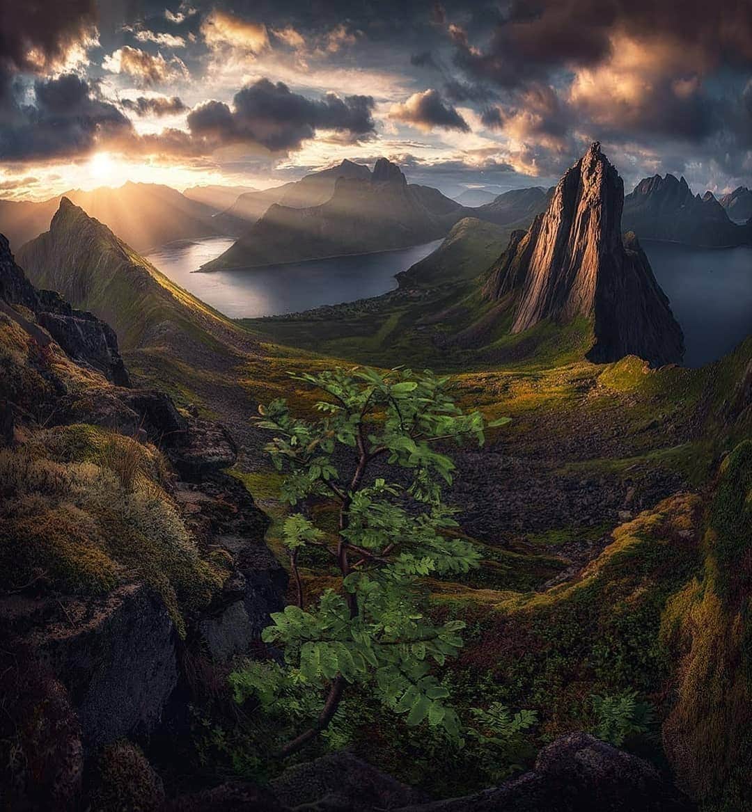 wonderful natureのインスタグラム：「Photo by @maxrivephotography check out his feed for more」