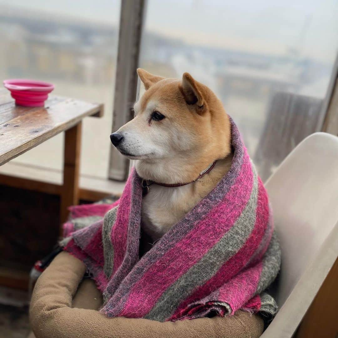 マル子のグルメインスタ