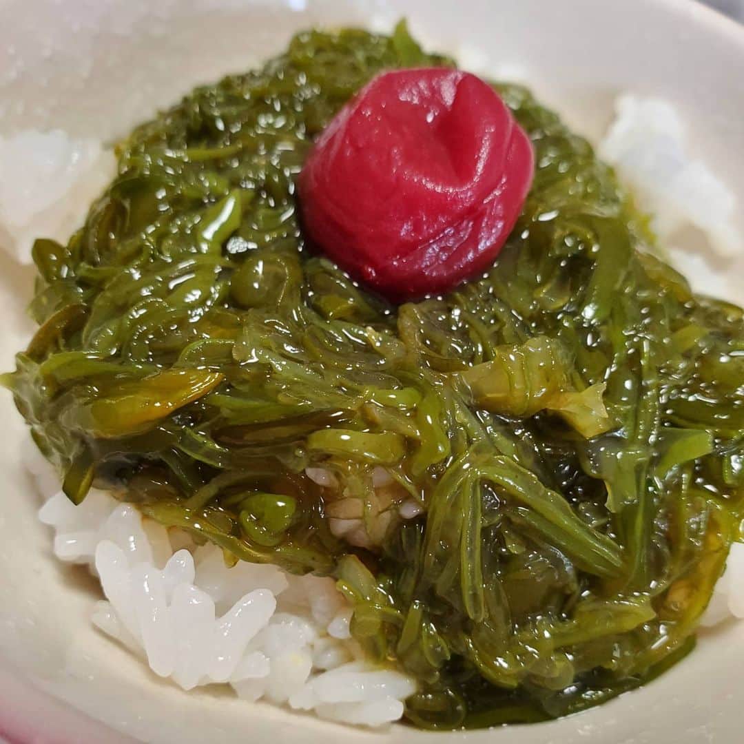 朱神宝のインスタグラム：「今日もお醤油をかけためかぶと梅干し。 シンプル！美味しい！」