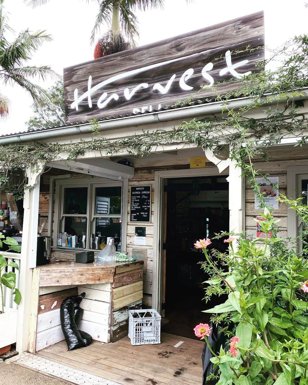 稀鳥まりやさんのインスタグラム写真 - (稀鳥まりやInstagram)「・ ・ 昨年遊びに行ったバイロンベイ🌿 バイロンに行く途中に寄ったHarvestがとっても素敵でした✨ レストラン、デリ、アンティークショップやセレクトショップがあり、のんびりとお買い物を楽しむ事ができます😊 レストランで頂いたお料理もとっても美味しかった😋 自由に旅行ができるようになったらもう一度訪れたい場所です💕 ・ ・ #harvestnewrybar」1月11日 14時20分 - mariya_kitori