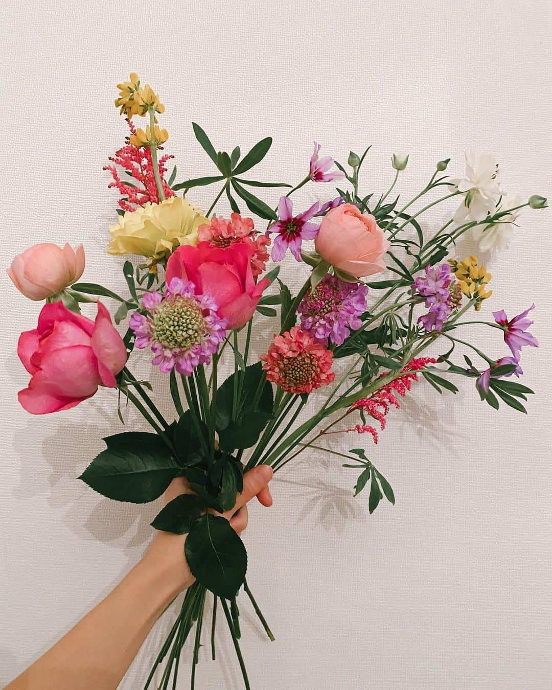 イアリサのインスタグラム：「今年もお花たちよろしくね💐」